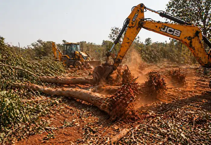 kancha gachibowli bulldozer tree clearing