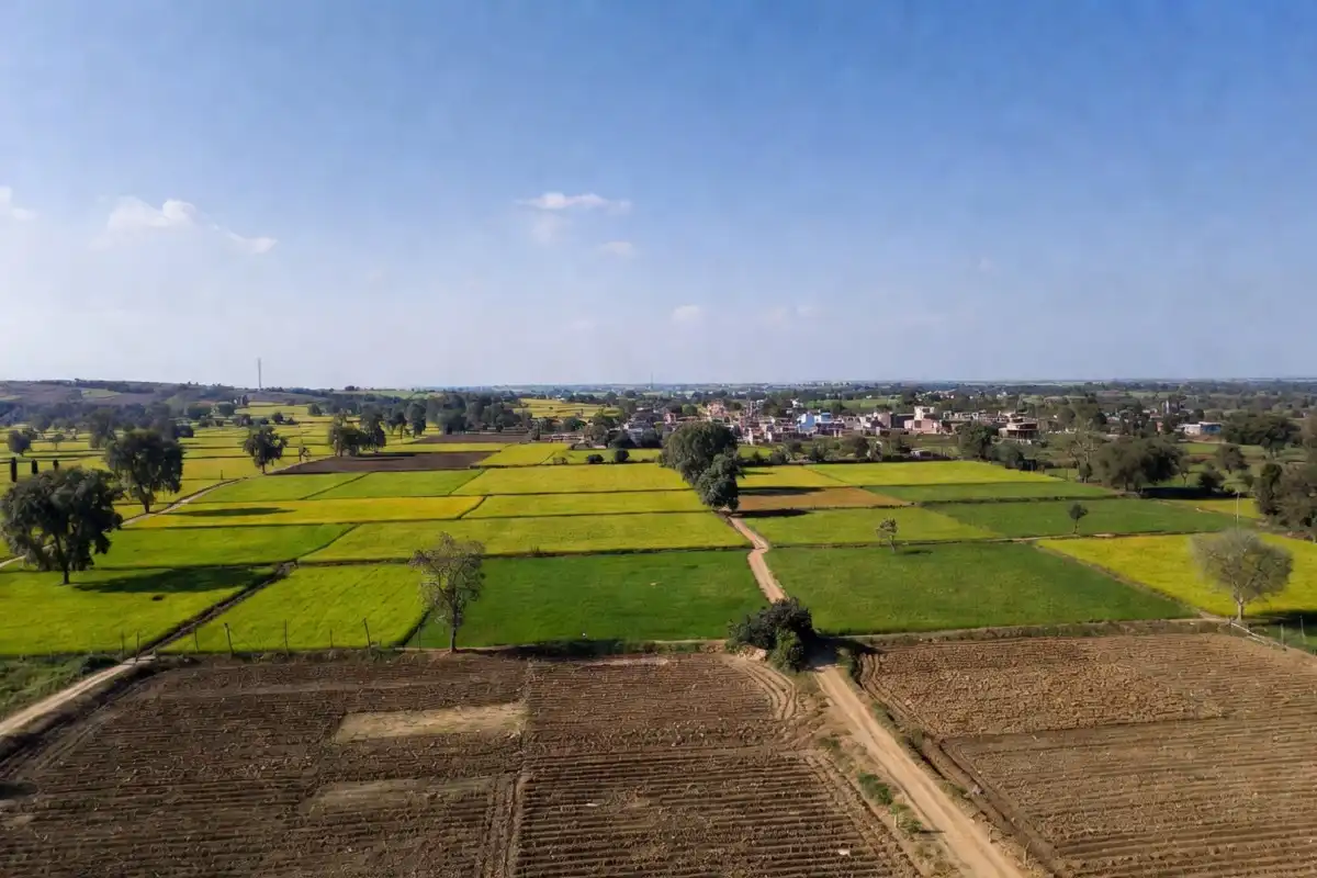 Overview of Deoria district landscape in eastern Uttar Pradesh