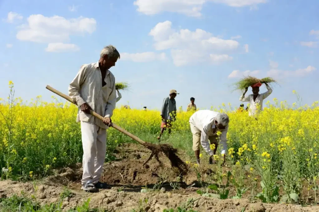 Small and marginal Indian farmers working on farmland eligible for PM Kisan scheme